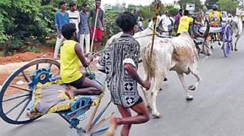 காரைக்குடியில் நடைபெற்ற மாட்டு வண்டி பந்தயத்தில் ஒற்றைச் சக்கரத்தில் வண்டியை ஓட்டிச் சென்ற விஜி.