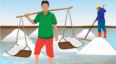 இயற்கை 24X7 - 12: உடலே கடல் கடலே உடல்