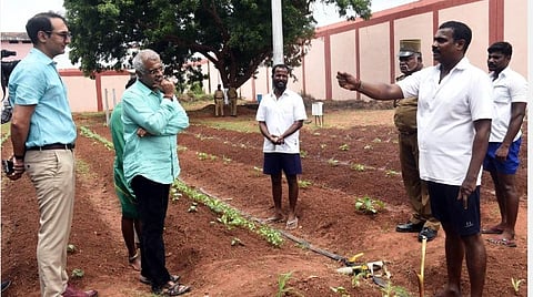 படம்: எம். சாம்ராஜ்