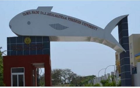 மீன்வள படிப்புகள் மாணவர் சேர்க்கைக்கு விண்ணப்பிக்கலாம்