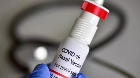 மூக்கில் ஸ்பிரே செய்யப்படும் கரோனா மருந்தால் உடனடி பலன்: மும்பை நிறுவன ஆய்வில் தகவல்