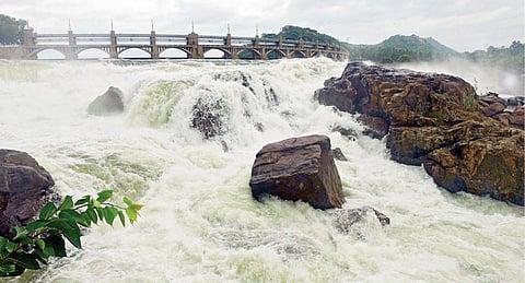 மேட்டூர் அணை தனது முழுகொள்ளளவான 120 அடியை நேற்று எட்டியது. அணையின் 16 கண் மதகுகள் வழியாக விநாடிக்கு ஒரு லட்சம் கனஅடி உபரிநீர் திறந்துவிடப்படுவதால் காவிரியில் சீறிப்பாய்ந்து வெளியேறும் நீர். படம்: எஸ்.குரு பிரசாத்