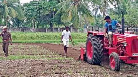சேலம் ஜாகீர் அம்மாபாளையத்தில் உள்ள திறந்த வெளி சிறைச்சாலையில் நன்னடத்தை அடிப்படையில் போலீஸார் பாதுகாப்புடன் சிறை கைதிகள் விவசாய பணியில் ஈடுபட்டு வருகின்றனர்.