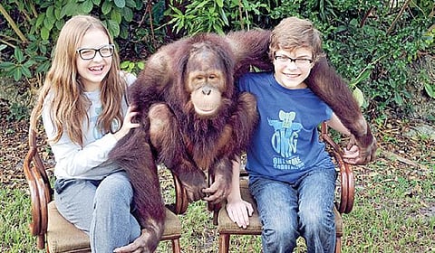 உலகை மாற்றும் குழந்தைகள் 3: இன்னும் ஒரு தலைமுறைக்கு