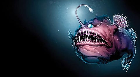 ஆழ்கடல் அதிசயங்கள் 15: இருளில் ஒளிரும் மீன்!