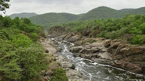 காவிரி மேலாண்மை கூட்டத்தில் மேகேதாட்டு குறித்த விவாதம் இல்லை