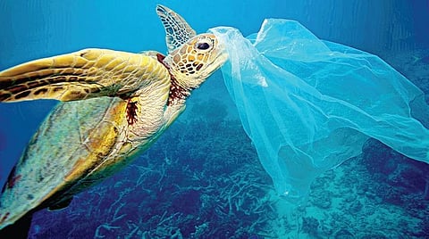 கதை நேரம்: அபிக்கு என்ன ஆச்சு?