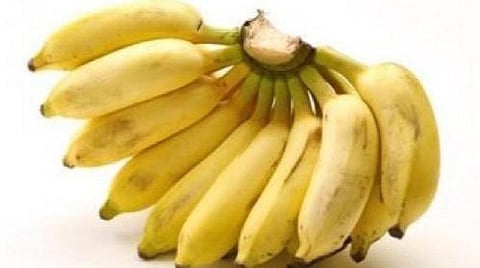 ஏலக்கி வாழைப்பழத்தின் விலை இரு மடங்கு உயர்வு: கிருஷ்ணகிரி விவசாயிகள் மகிழ்ச்சி