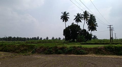 புதுச்சேரியில் அகழாய்வு தொடங்கவுள்ள பி. எஸ். பாளையம் கோட்டைமேடுப் பகுதி.