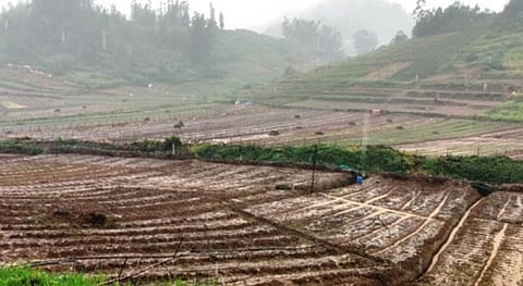 நீலகிரியில் கொட்டி தீர்க்கும் மழை: மரங்கள் சாய்ந்து போக்குவரத்து, மின் விநியோகம் பாதிப்பு | கள நிலவரம்