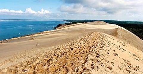 இயற்கை 242X7: பெருமணல் உலகம்