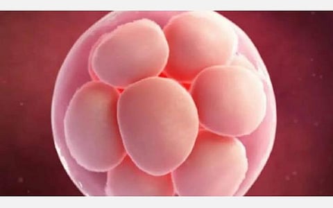 கருமுட்டை விற்பனை விவகாரம்: ஈரோடு தனியார் மருத்துவமனைக்கு மீண்டும் சீல் வைக்க அரசு முடிவு