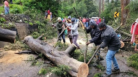 வானிலை முன்னறிவிப்பு: நீலகிரி, கோவை, திருப்பூர், தேனி, திண்டுக்கல், தென்காசியில் கனமழை வாய்ப்பு