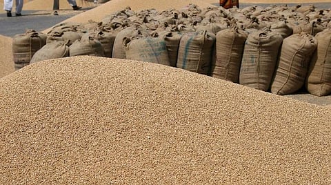 கோதுமையை இறக்குமதி செய்யும் திட்டம் இல்லை: மத்திய அரசு உறுதி