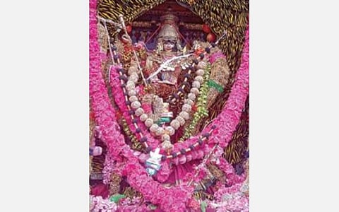 திருச்செந்தூரில் நடைபெற்ற சிவப்பு சார்த்தி சுவாமி வீதியுலா.