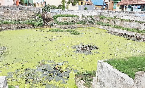 திருவண்ணாமலையில் கழிவுநீர் கலந்து அசுத்தமாக உள்ள பிள்ளைக்குளம்.படம்: இரா.தினேஷ்குமார்.