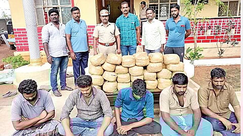 ஆந்திராவில் இருந்து கடத்தி வரப்பட்ட 588 கிலோ கஞ்சா பறிமுதல்: தஞ்சாவூர் மாவட்டத்தில் 8 பேர் கைது