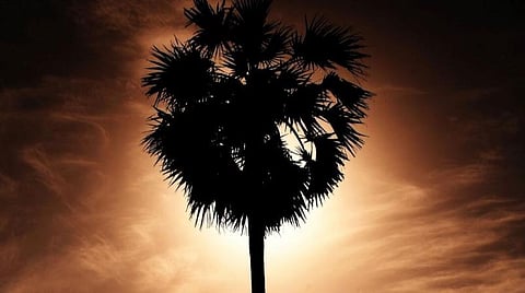 பிரதிநிதித்துவப் படம்