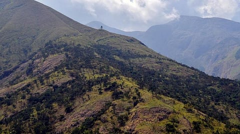 குரங்கனி மலை | கோப்புப் படம்