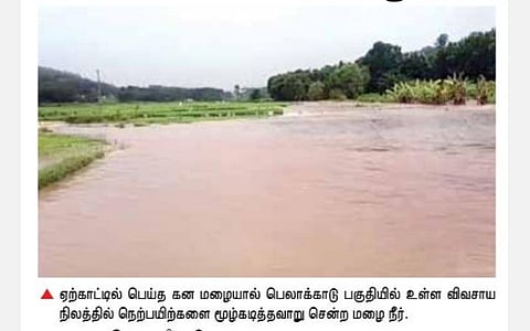 சேலத்தில் கனமழையால் இயல்பு வாழ்க்கை பாதிப்பு; ஏற்காடு காட்டாற்றில் வெள்ளம்