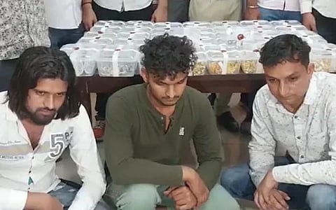 ரூ.6 கோடி மதிப்பில் திருடிய பலே திருடர்கள்: ரூ.100 பேடிஎம் பரிவர்த்தனையால் கைதான கதை!