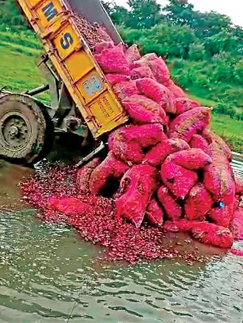 சூளகிரி அருகே சானமாவு கிராமத்தில் தொடர் மழை மற்றும் போதிய விலை இல்லாததால் 700 மூட்டை வெங்காயத்தை விவசாயிகள் குட்டையில் கொட்டி அழித்தனர்.