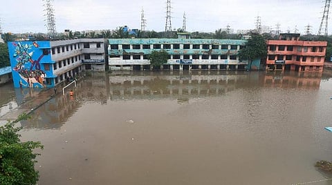 பிரதிநிதித்துவப் படம்