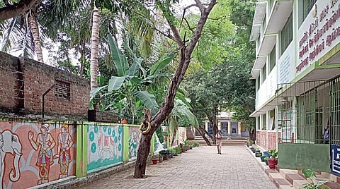 தனிப்பட்ட பண்மை மேம்படுத்த மாணவர்களுக்கு மரக்கன்று: மரம், செடி, கீரை வகைகளுடன் காய்கறித் தோட்டம் - முன்னுதாரணமாகத் திகழும் மேலபுலம் அரசு மேல்நிலைப்பள்ளி