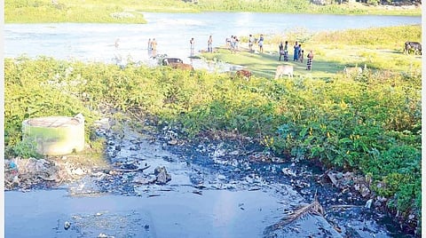 தாமிரபரணி நதியைக் காக்க பயனுள்ள திட்டம் என்ன?