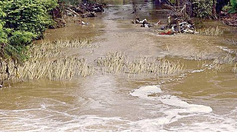 கனியும் கணிதம் 6: ஆறுகள் வளர்த்த கணிதம்