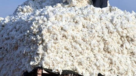 மத்திய அரசு மேற்கொண்ட நடவடிக்கையால் தமிழகத்தில் பஞ்சு விலை ரூ.72 ஆயிரமாக சரிவு