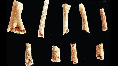 கங்கைகொண்ட சோழபுரம் மாளிகை மேட்டில் 2-ம் கட்ட அகழாய்வு நிறைவு