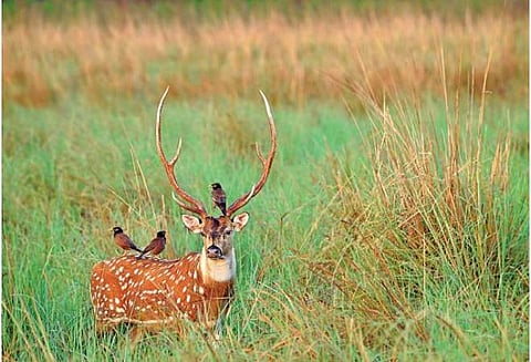 கோப்புப் படம்