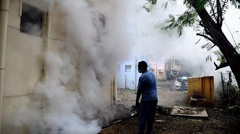 தமிழகத்தில் அதிகரித்து வரும் டெங்குவை கட்டுப்படுத்த தீவிர நடவடிக்கை: பொது சுகாதாரத் துறை இயக்குநர் தகவல்