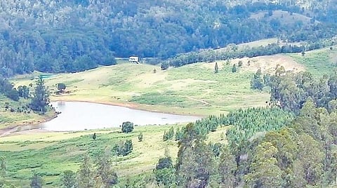 கொடைக்கானல் மன்னவனூரில் மூலிகை புல்வெளிகள் பாதுகாக்கப்படுமா?