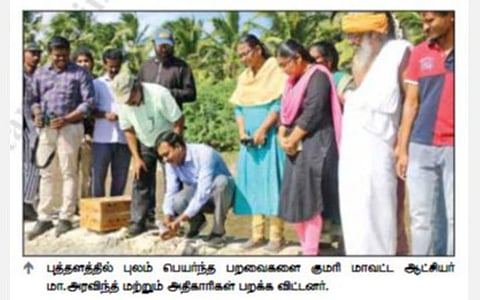 குமரிக்கு ஓராண்டில் 170 வகையான 70,000 பறவைகள் வருகை: ரஷ்யா, சீனாவில் இருந்து அதிகமானவை முகாம்