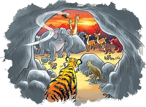 கேலி செய்யும் புலி