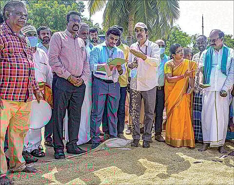 தஞ்சை வண்ணாரப்பேட்டை நெல் கொள்முதல் நிலையத்தில் நேற்று நெல் ஈரப்பதம் தொடர்பாக ஆய்வு செய்த மத்தியக் குழுவினர். படம்: ஆர்.வெங்கடேஷ்