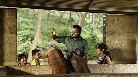 ஓடிடி திரை அலசல் | Palthu Janwar - பசுவுக்காக மடிப் பால் சுரந்த மனித மனங்களின் கதை