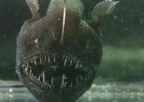 பிரதிநிதித்துவப் படம்.