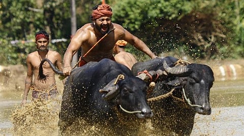 ரூ.16 கோடி பட்ஜெட்... ரூ.200 கோடி வசூல் - ‘கேஜிஎஃப்’ படத்துக்கு அடுத்து ‘காந்தாரா’ கலெக்ஷன்!
