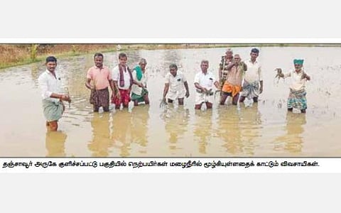 தஞ்சாவூர் மாவட்டத்தில் நீரில் மூழ்கிய 1000 ஏக்கர் வயல்கள்