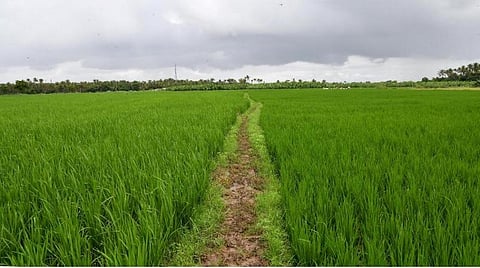 கோப்புப் படம்