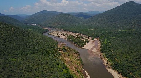 காவேரி தெற்கு வன உயிரின சரணாலய பகுதி