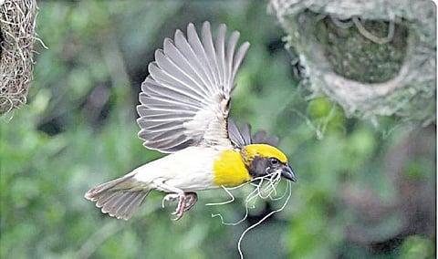 தமிழகத்தில் 17-வது புதிய சரணாலயம்: முதல்வர் ஸ்டாலின் பெருமிதம்