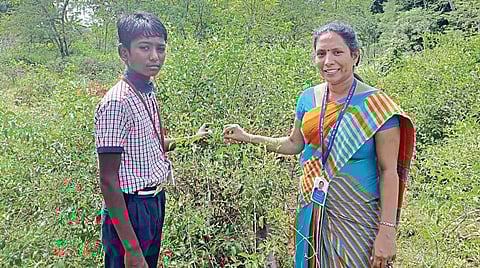 மாணவனுள் ஒளிந்துள்ள இயற்கை விவசாயி