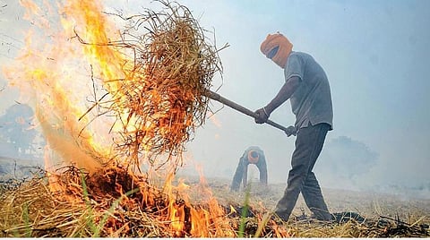 இயற்கை 24X7 - 29: காற்று வாங்கினால், நோய் இலவசம்