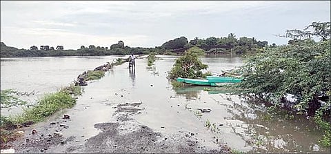 புதுப்பட்டினம் அருகே பக்கிங்ஹாம் கால்வாயில் ஏற்பட்டுள்ள வெள்ளப்பெருக்கால் தண்ணீரில் முழ்கியுள்ள காரைத்திட்டு - உய்யாலிக்குப்பம் சாலை.