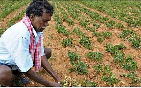 பிரதமரின் பயிர் காப்பீடு திட்டத்தில் நெற்பயிருக்கு காப்பீடு செய்ய அவகாசம் இன்று நிறைவு