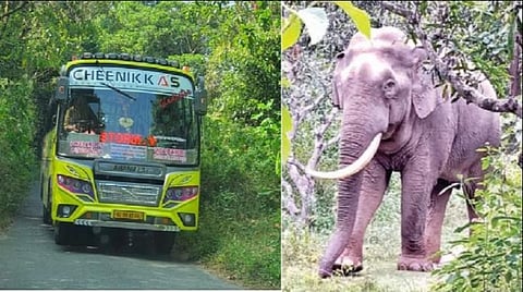 பேருந்தை துரத்திய 'கபாலி’ யானை - 8 கி.மீ ரிவர்ஸ் கியரில் இயக்கிய ஓட்டுநர்!